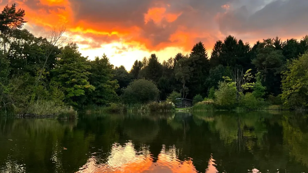 Evening colours over Welham Lake
